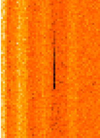 Image ChargeTrapLocus
