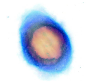 Image M57_nebula_negativ